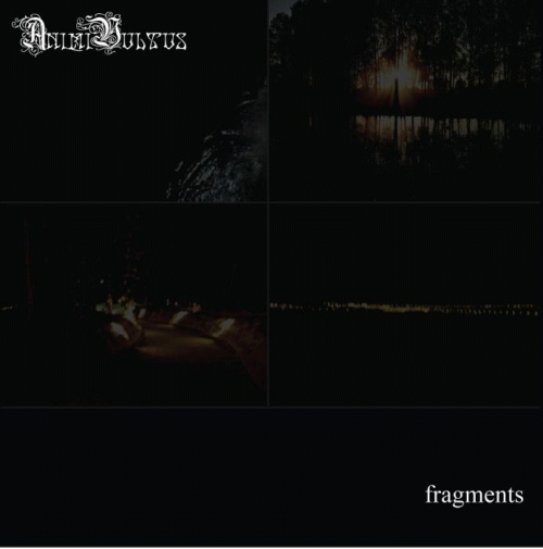 Animi Vultus : Fragments Animi Vultus : Fragments